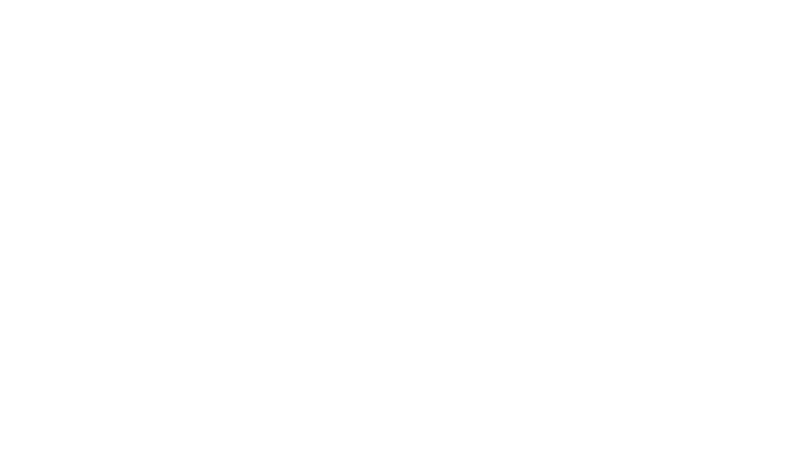 Nisar Rugs Brand Logo